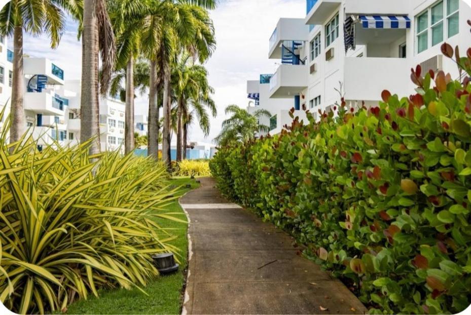 Breezy Nights Puerto Rico Apartamento Loiza Exterior foto